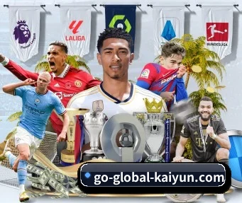 开云体育 APP - kaiyun