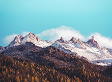 官方：辽宁铁人签下瑞超哈马比中卫瓦吉奇